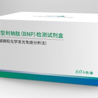 B型利鈉肽（BNP）檢測試劑盒（磁微粒化學發光免疫分析法）